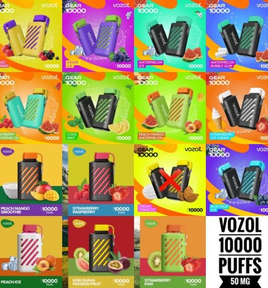 Vozol Gear 10000 Puffs Best Disposable